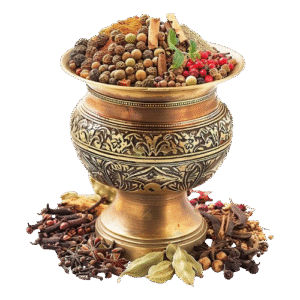 photo_2025-11-22_22-42-52-removebg-preview